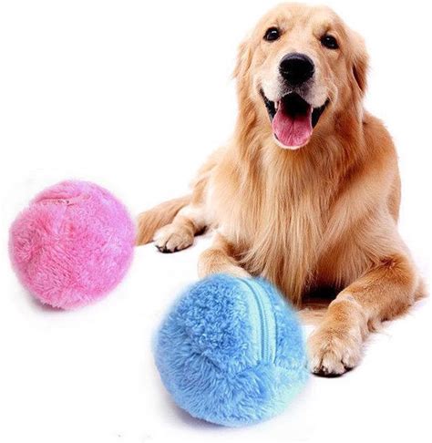 Fun and Healthy: Using the Magic Roller Ball to Promote Exercise for Dogs